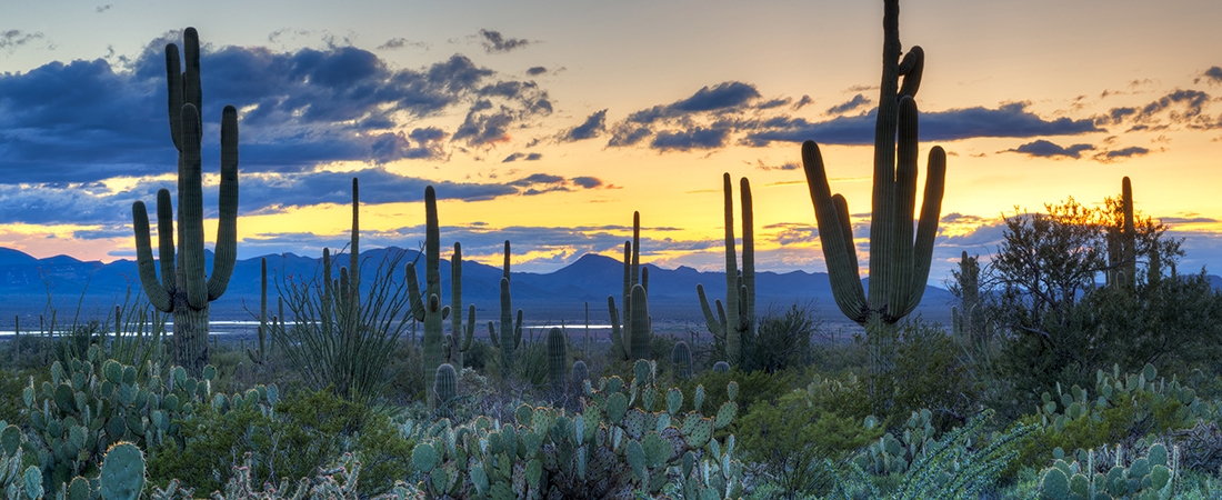 Canyon Ranch Wellness Resort Tucson, Arizona - The Spa Connection