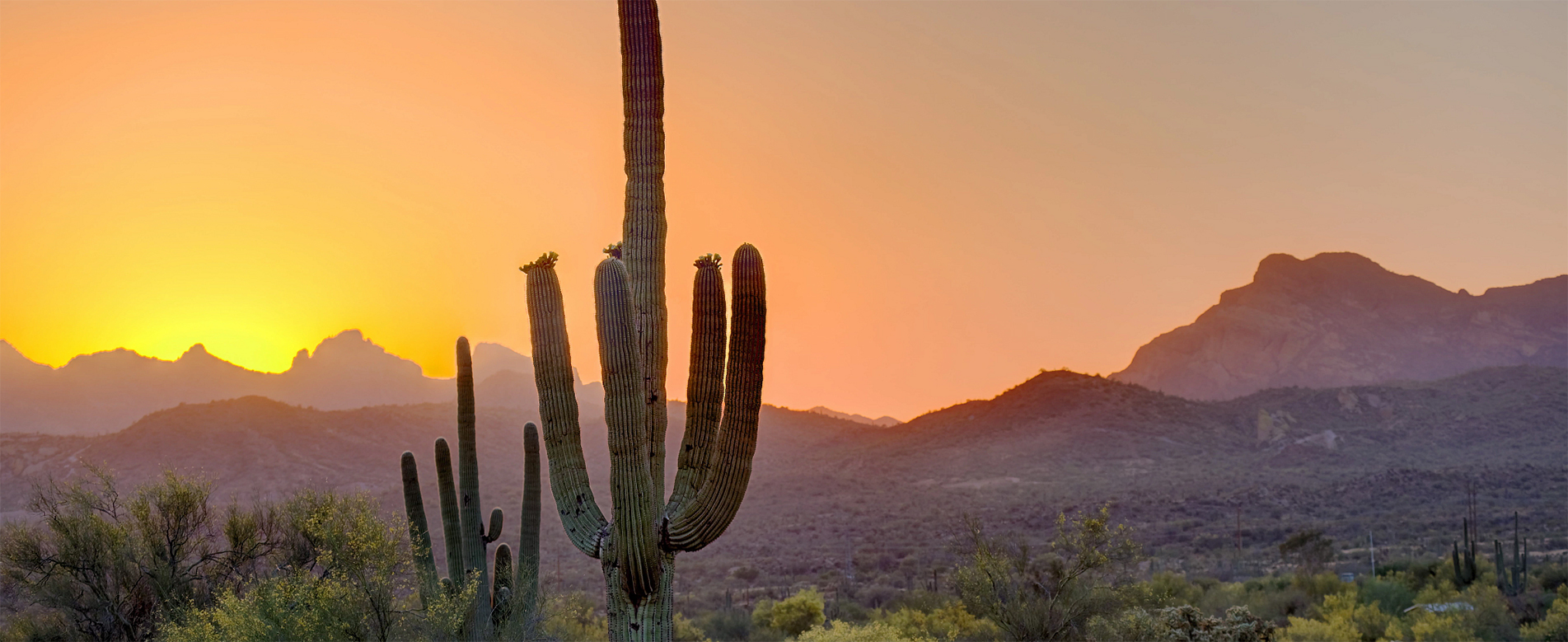 Canyon Ranch Wellness Resort Tucson, Arizona